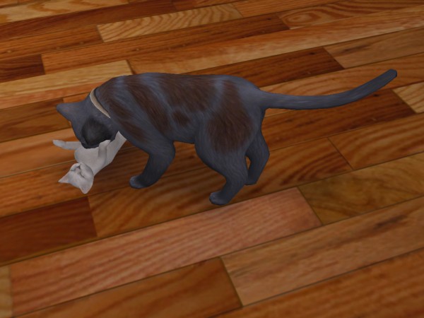 images/histoires/lega/generation_3/chapitre_38/Alors_voyo-590353.jpg images/histoires/lega/generation_3/chapitre_38/Alors_voyo-590353.jpg