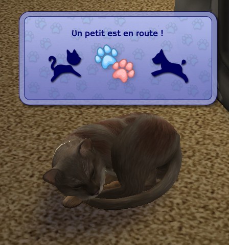 images/histoires/lega/generation_3/chapitre_7/Ou_lon_pre-c58a60.jpg images/histoires/lega/generation_3/chapitre_7/Ou_lon_pre-c58a60.jpg