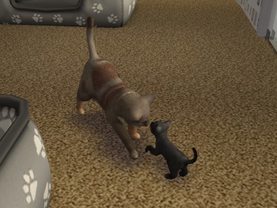 images/histoires/lega/generation_3/chapitre_7/Ou_lon_pre-dd2f8d.jpg images/histoires/lega/generation_3/chapitre_7/Ou_lon_pre-dd2f8d.jpg