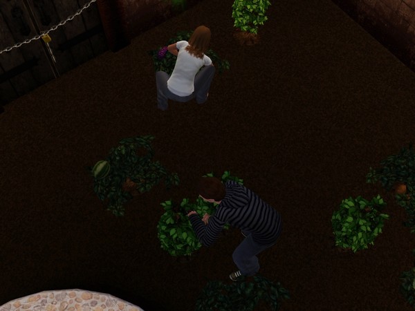 images/histoires/mysterieux_jardin/generation_1/chapitre_9/Lautre_jou-35adf3.jpg images/histoires/mysterieux_jardin/generation_1/chapitre_9/Lautre_jou-35adf3.jpg